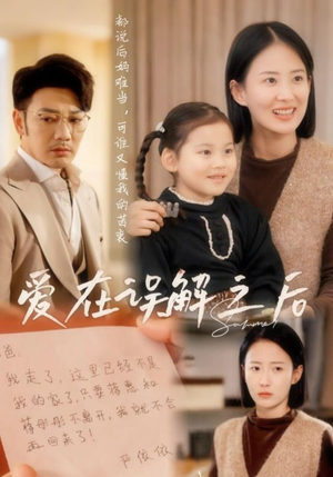 爱在误解之后（30集） 全集完整版