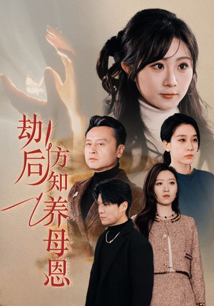 劫后方知养母恩（45集） 完整版