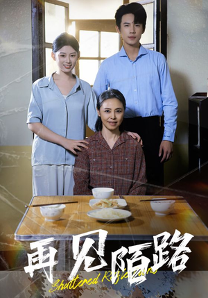 再见陌路（39集） 夸克在线观看