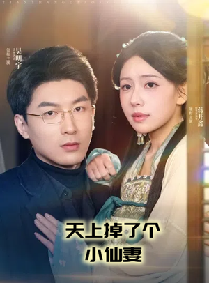 天上掉了个小仙妻（60集） 短剧太精彩了