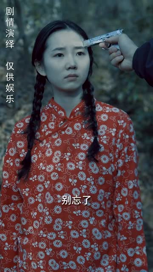 身份盲区（12集） 夸克网盘观看