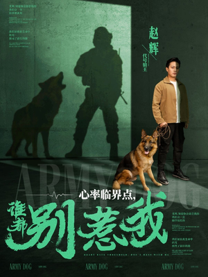 心率临界点谁都别惹我（96集） 短剧免费观看