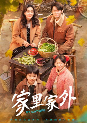家里家外（79集） 最火爆的短剧