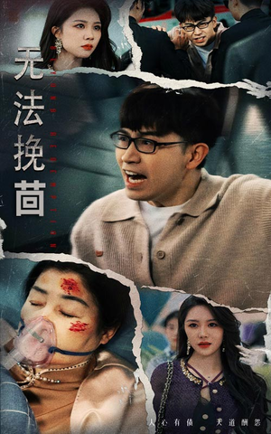 无法挽回（56集） 零花钱看整部剧