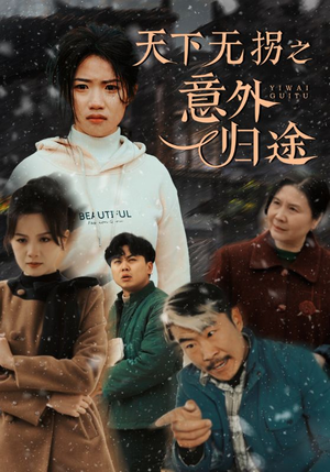 天下无拐之意外归途（61集） 短剧抢先看全集
