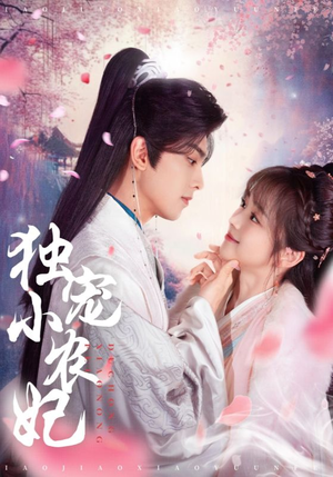 独宠小农妃（63集） 解说文案