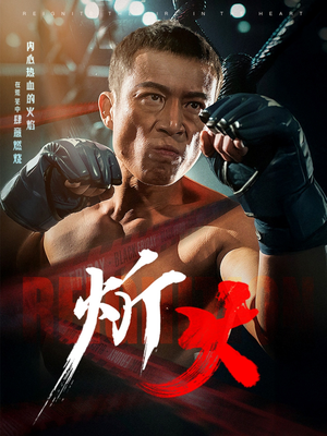 炘火（62集） 完整版免费观看