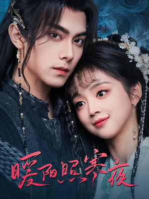 暖阳照寒夜（68集） 经典老剧免费看