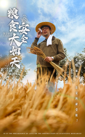 粮食安全大如天（43集） 免费观看全集