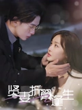 贤妻折翼逢生&雨落灯残梦（85集）  短剧追不停