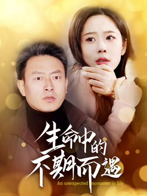 生命中的不期而遇（35集） 精彩短剧分享