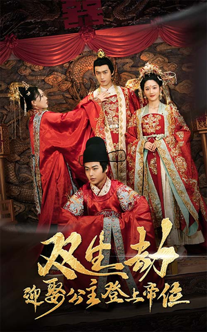 双生劫迎娶公主登上帝位（44集）免费观看全集
