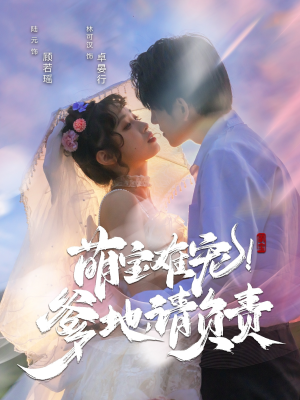 萌宝难宠爹地请负责（80集） 百度网盘资源