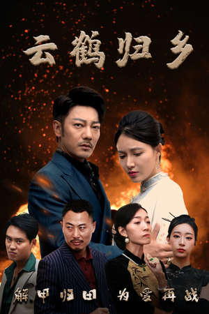 云鹤归乡（65集） 抢先看新短剧