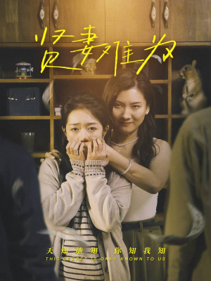 贤妻难为（30集） 第二季