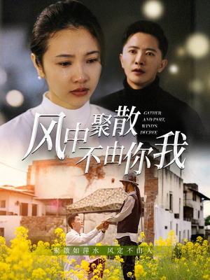 风中聚散不由你我（41集） 短剧在哪个平台