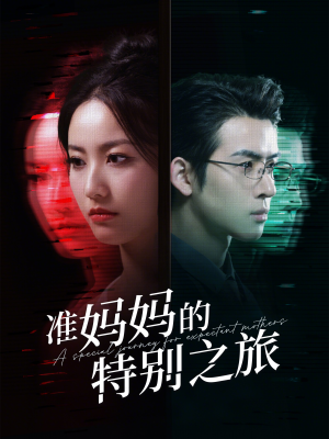 准妈妈的特别之旅（80集）高分佳作免费看