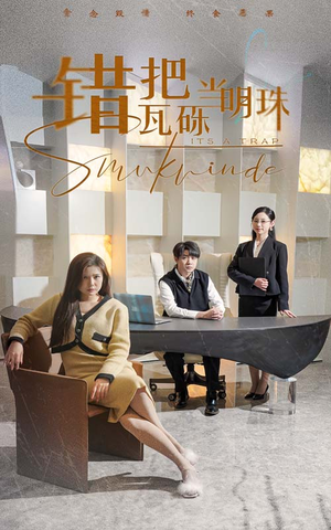 错把瓦砾当明珠（55集） 在哪里可以全集