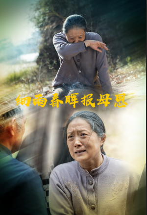 细雨春晖报母恩（30集） 在哪个app能看