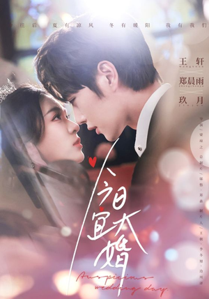 今日宜大婚（59集） 甜宠短剧追到爽