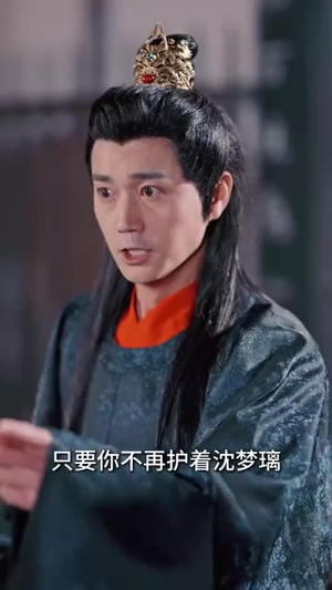和离后，她带崽嫁入太子府（60集）最新热剧免费看