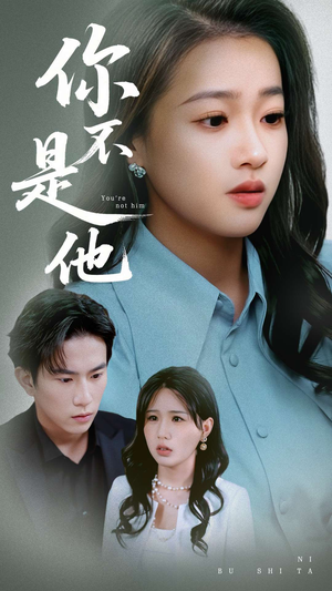 你不是他（70集）夸克网盘观看