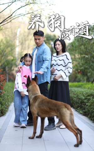 养狗应有道（60集）精彩连连免费看
