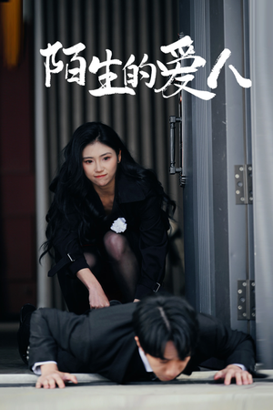 陌生的爱人（60集）演的怎么样