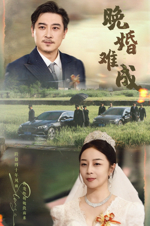 晚婚难成（60集）热播短剧来袭