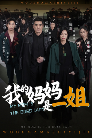 我的妈妈是一姐（62集）全集完整版