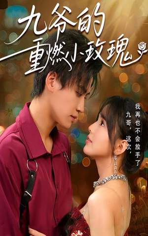 九爷的重燃小玫瑰（67集）短剧全集免费