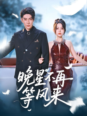 晚星不再等风来（65集）全剧免费观看