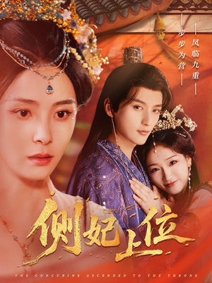 侧妃上位（80集）热门火爆短剧