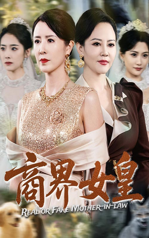 商界女皇（70集）爆火短剧追不停