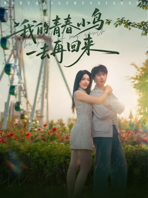 我的青春小鸟一去再回来（95集）第一集