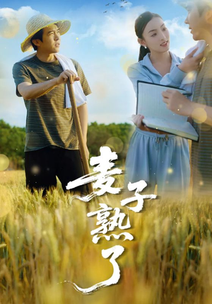 麦子熟了（52集）免费版