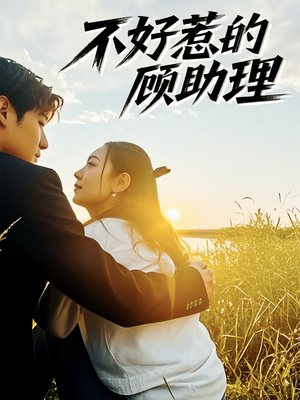 不好惹的顾助理（67集）口碑之选免费看