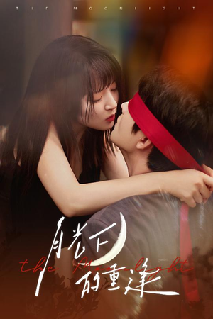 月光下的重逢（54集）经典老剧免费看