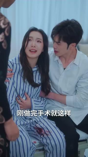 雾散风不停（60集）热播短剧追不停