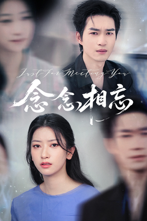 念念相忘（57集）短剧演员排行榜