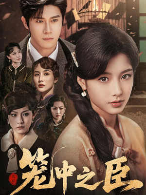 笼中之臣（67集）短剧解说全集