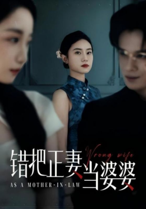 错把正妻当婆婆（46集）免费在线看全集