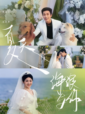 夏天，海浪与你（76集）短剧后续更精彩