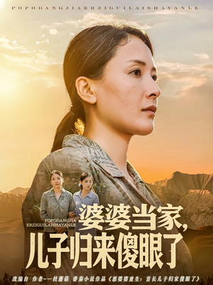 婆婆当家儿子归来傻眼了（80集）热门短剧榜单