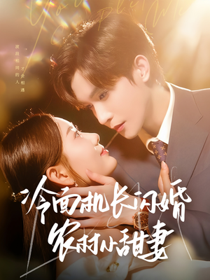冷面机长闪婚农村小甜妻（73集）短剧在哪里看