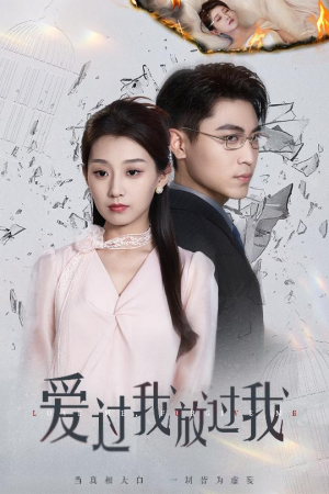 爱过我放过我（51集）精彩热门短剧