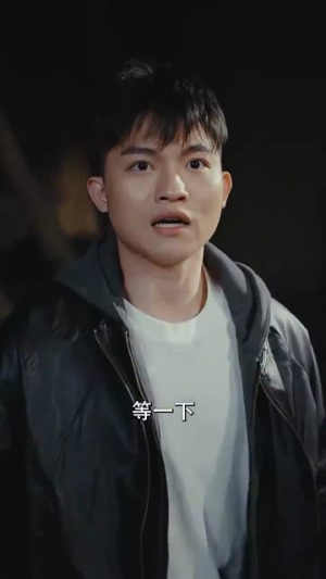 双龙逆战（89集）精彩好看短剧
