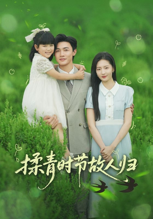揉青时节故人归（60集）精彩短剧推荐