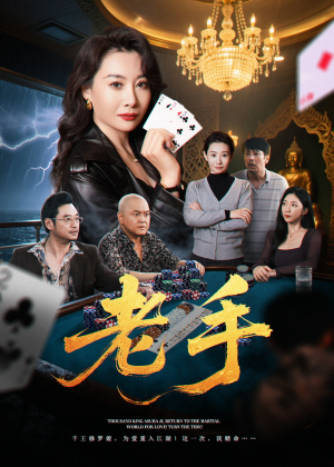 老手（36集）一共多少集