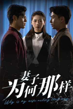 妻子为何那样（60集）快来看短剧